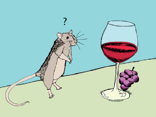 mouse-wine-glass-illustration-400x300